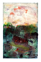 Sargasso Moonlight